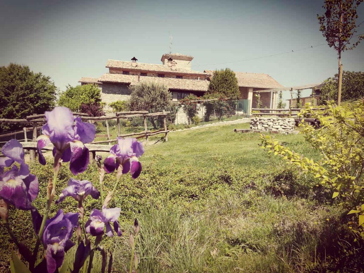 Tenuta I Musi Lunghi Lesignano de' Bagni エクステリア 写真
