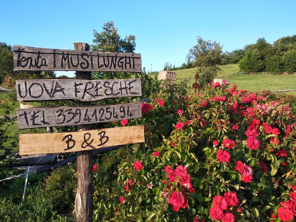 Tenuta I Musi Lunghi Lesignano de' Bagni エクステリア 写真